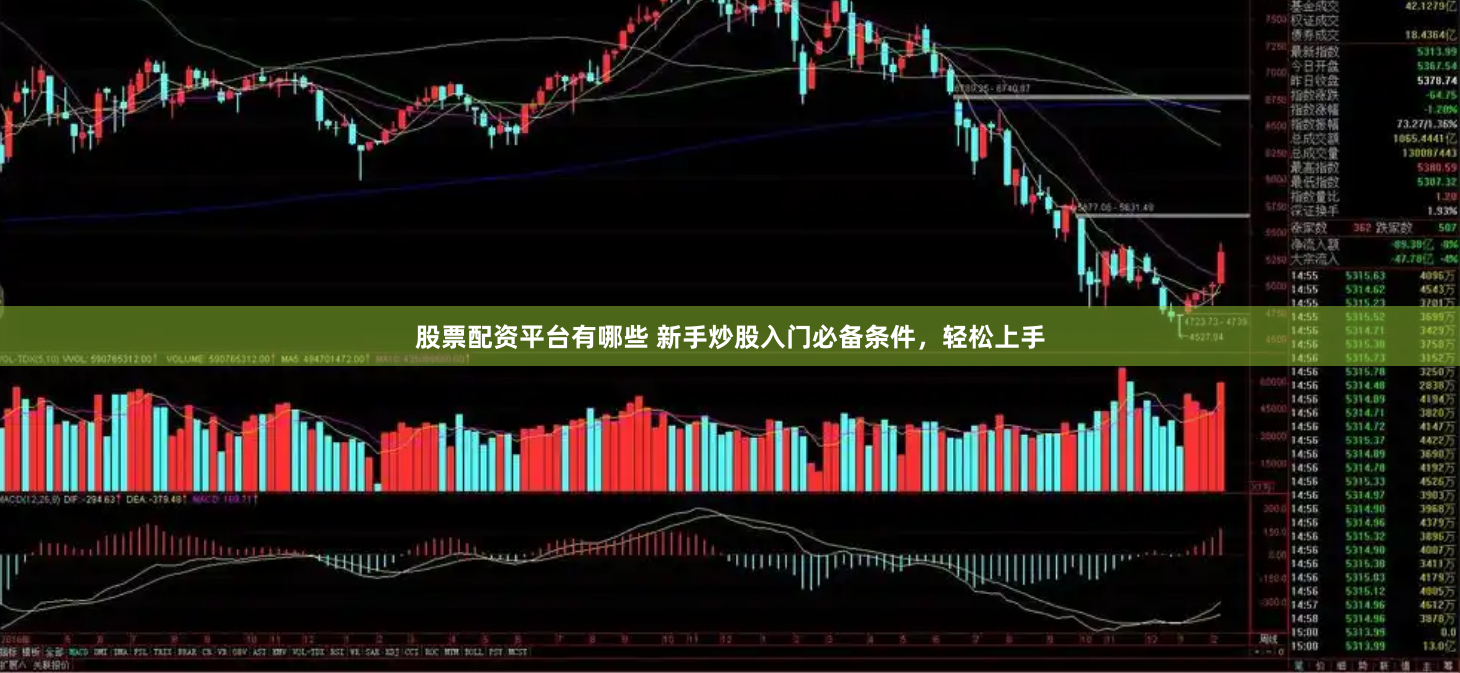 股票配资平台有哪些 新手炒股入门必备条件，轻松上手