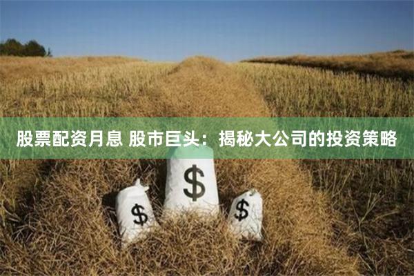 股票配资月息 股市巨头：揭秘大公司的投资策略