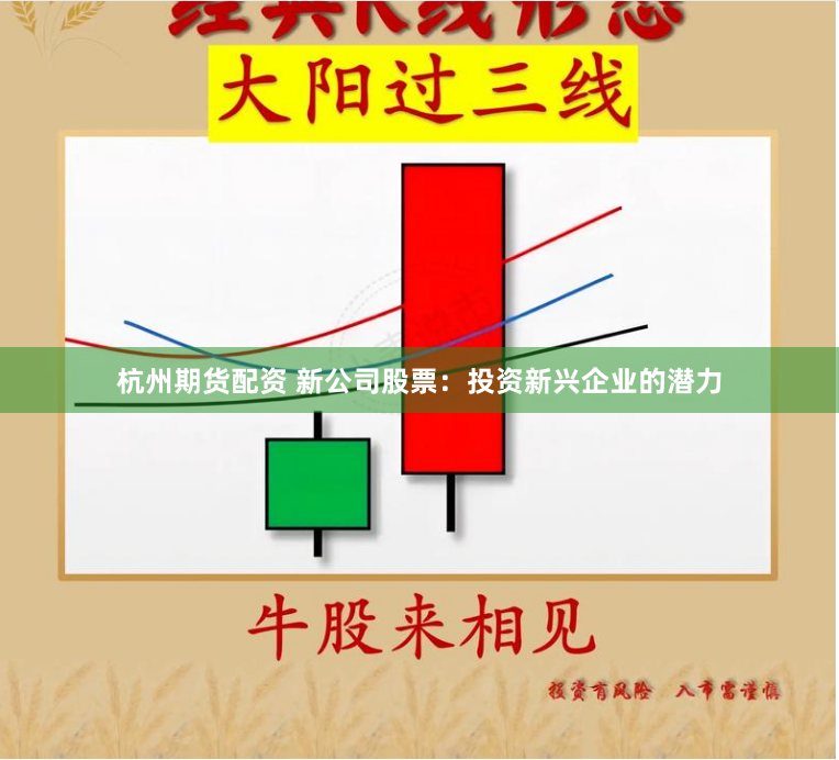 杭州期货配资 新公司股票：投资新兴企业的潜力