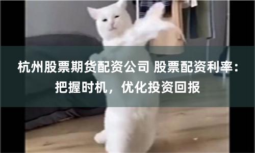 杭州股票期货配资公司 股票配资利率：把握时机，优化投资回报