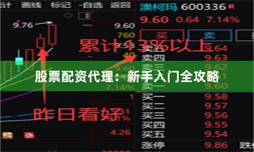 股票配资代理：新手入门全攻略