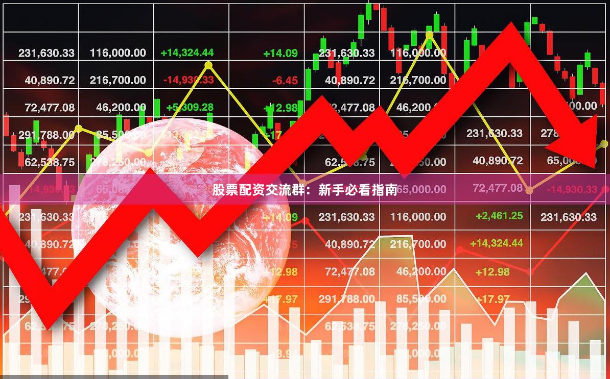 股票配资交流群：新手必看指南
